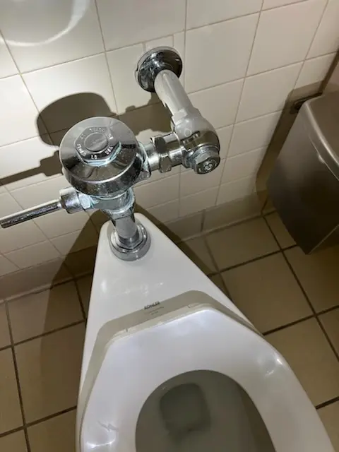 Fixture installation and repair for Garbage Disposal in Rock Falls